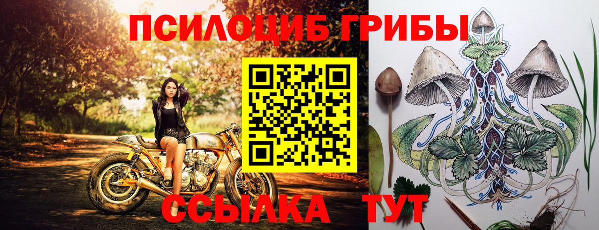 Осинники  Галлюциногенные грибы Magic Shrooms  Вход с VPN 