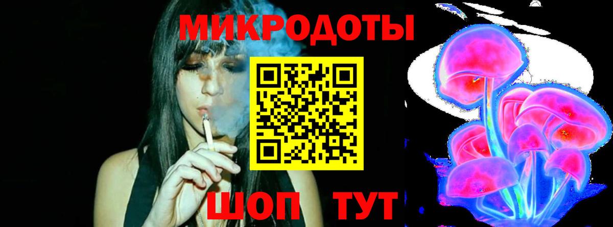 Галлюциногенные грибы Psilocybine cubensis Осинники